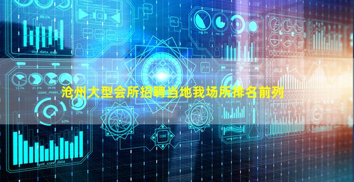 沧州大型会所招聘当地我场所排名前列